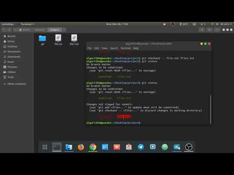 lesson #12 - git checkout command