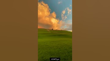 حالات واتس سورة فصلت الآية ٣٩بصوت #فارس_عباد #الأرض #الماء #اهتزت #الموت