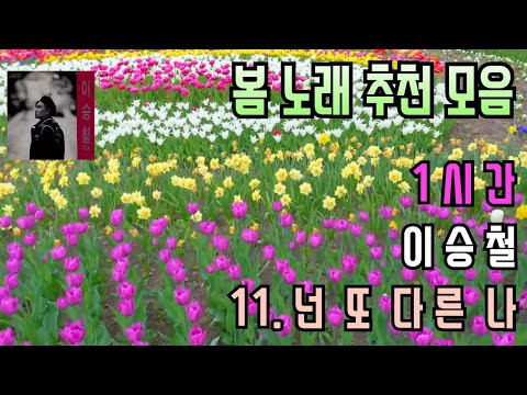 1시간 봄 노래 추천 11 넌 또 다른 나 이승철