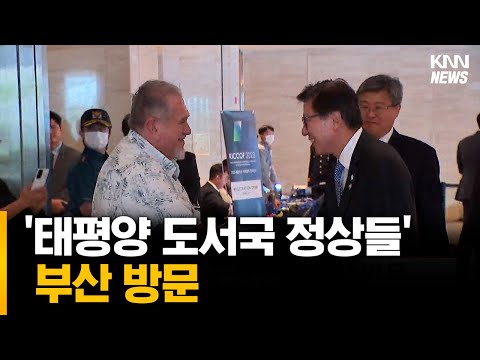 &amp;#39;태평양 도서국&amp;#39; 정상들 부산 방문