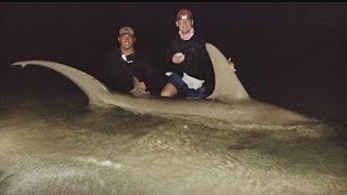 Naples man catches 10-foot hammerhead shark off Lee County beach