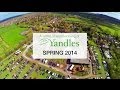 Triton At Yandles Woodworking Show - Spring 2014 Triton At Yandles Woodworking Show - Spring 2014