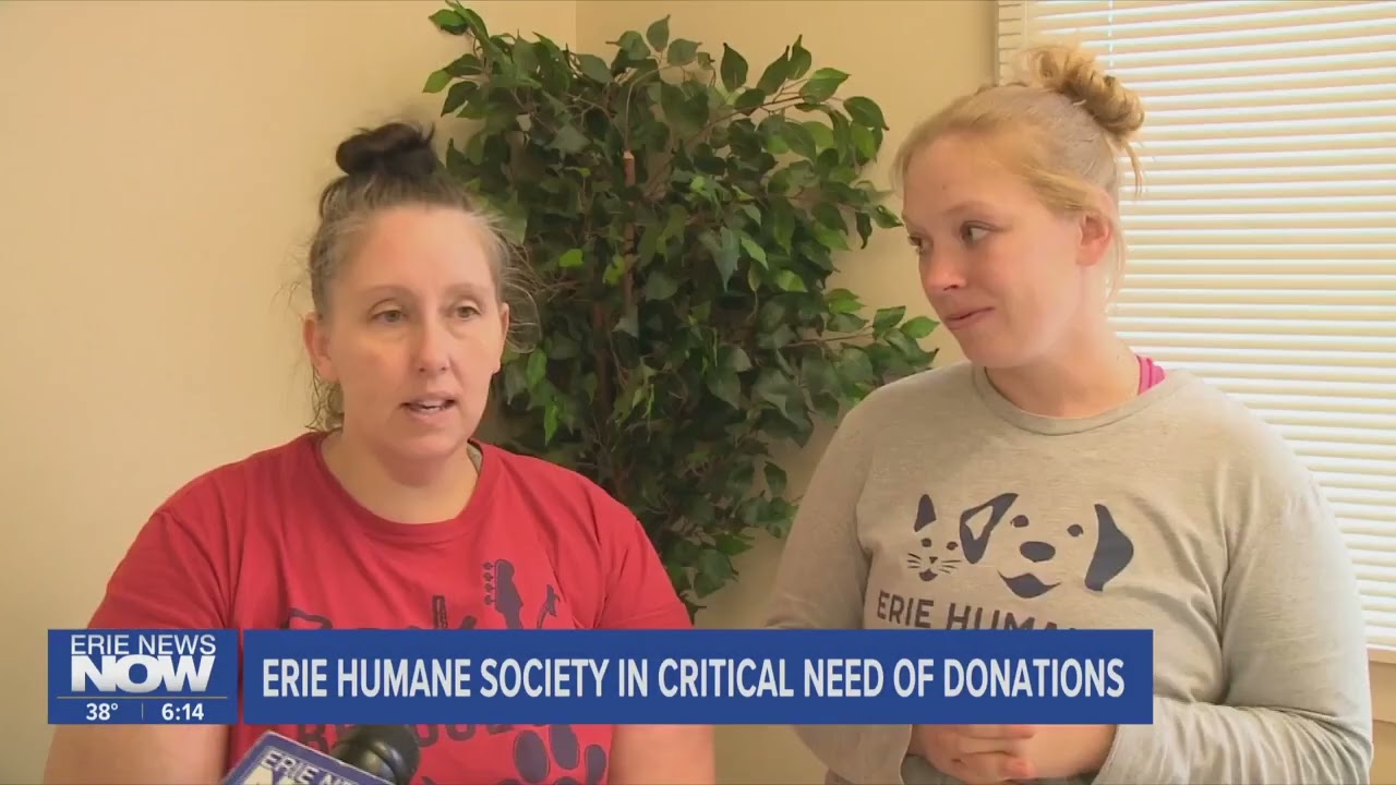 Erie Humane Society in Critical Need of Donations