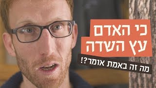 Video thumbnail of "כאן עברית | כי האדם עץ השדה"