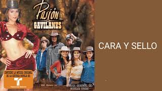 Pasión de Gavilanes - Cara y sello | #PasionDeGavilanes