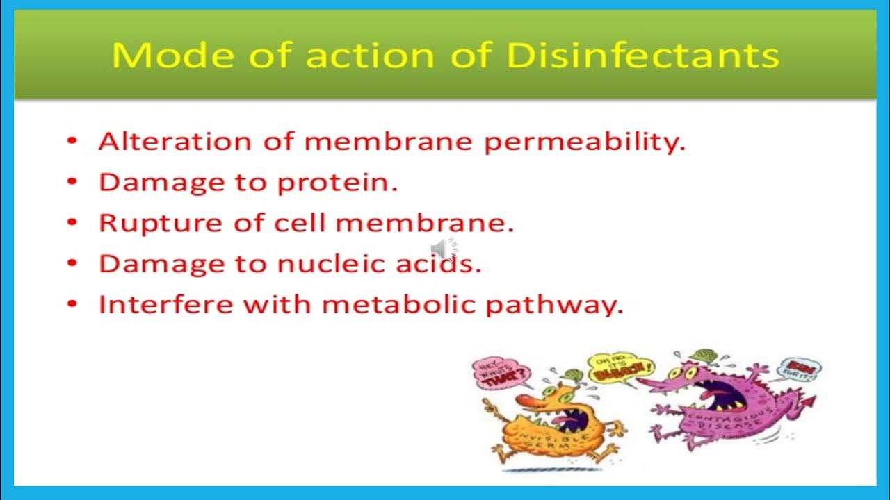 Classification and mode of action of disinfectant vlog 34 YouTube