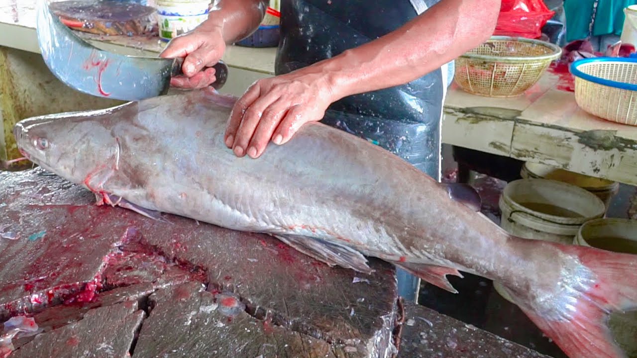 BIGGEST PANGAS FISH CUTTING IN INDONESIA TRADITIONAL FISH MARKET ...