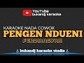 PENGEN NDUENI KARAOKE - FERDIANSYAH | TARLING LIRIK TANPA VOKAL 2023