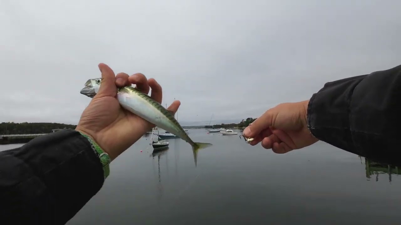 Fishing at Chester, Nova Scotia