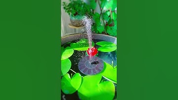 Tìm ra nè! Đài phun nước năng lượng trang trí tiểu cảnh, hồ cá.