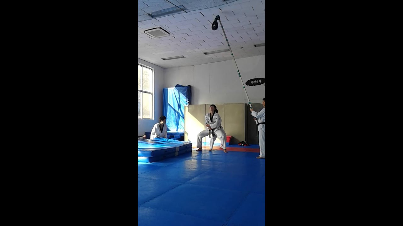 Backflip Kick
