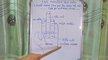 hướng dẫn tính giờ xuất hành theo lục nhâm đại độn