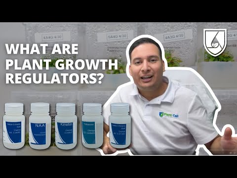 Cystar How To Use Plant Growth Regulators