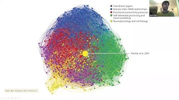 Demystifying the Default Mode Network