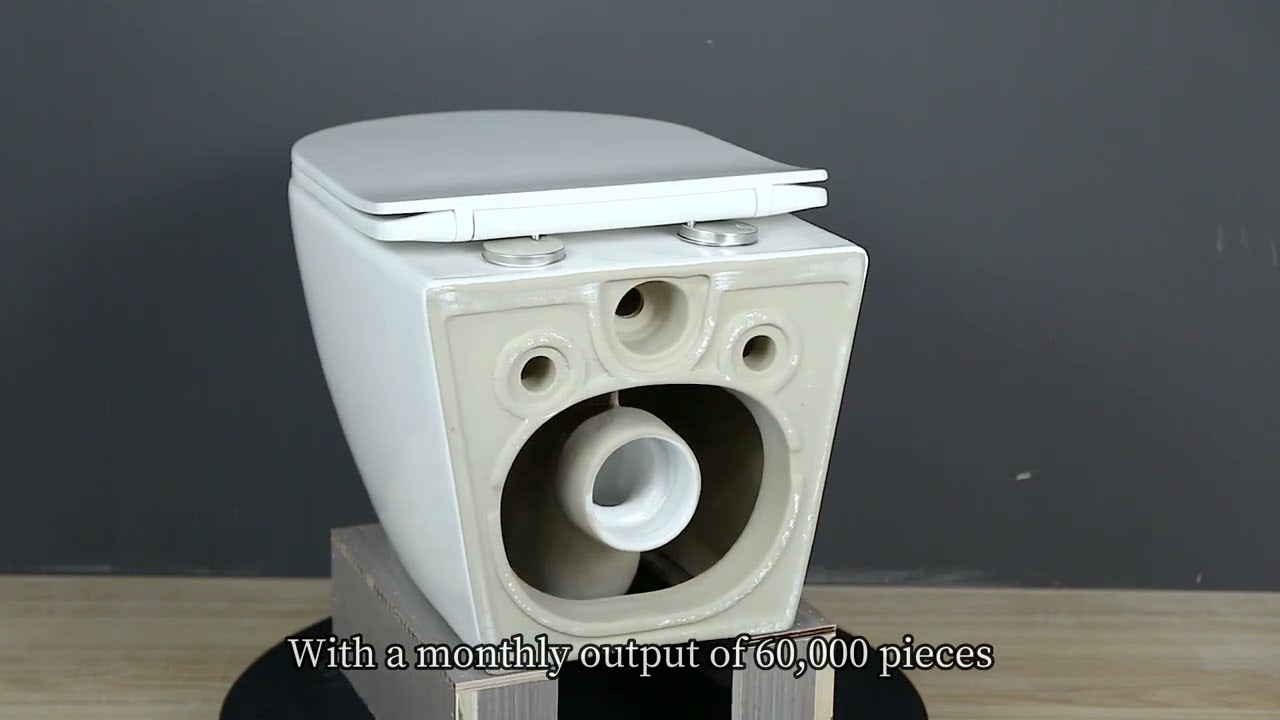 best seller rimless wall hung toilet from Leen Sanitary Ware company