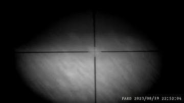 Fox hunting [ Pard 007 hunting video ]