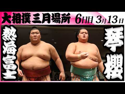 春爛漫です。琴櫻 YouTube
