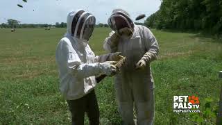 Teter Farm - Beekeeping