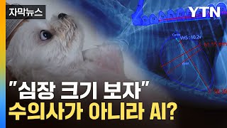 [자막뉴스] 동물 병원에 등장한 AI 기술...'15초 만에 결괏값 확인'