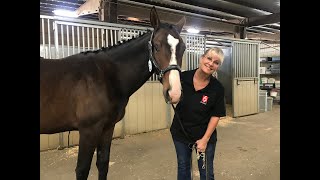 **A PEEK INTO MY LIFE...MY HORSE LIFE**  (Just a little bit ASMR-ish.) screenshot 3