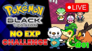 Pokemon Black - No EXP Challenge #01 @Pichu647