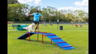 Living in Southwest Ranches, FL: The Ultimate Local Guide | Homes.com