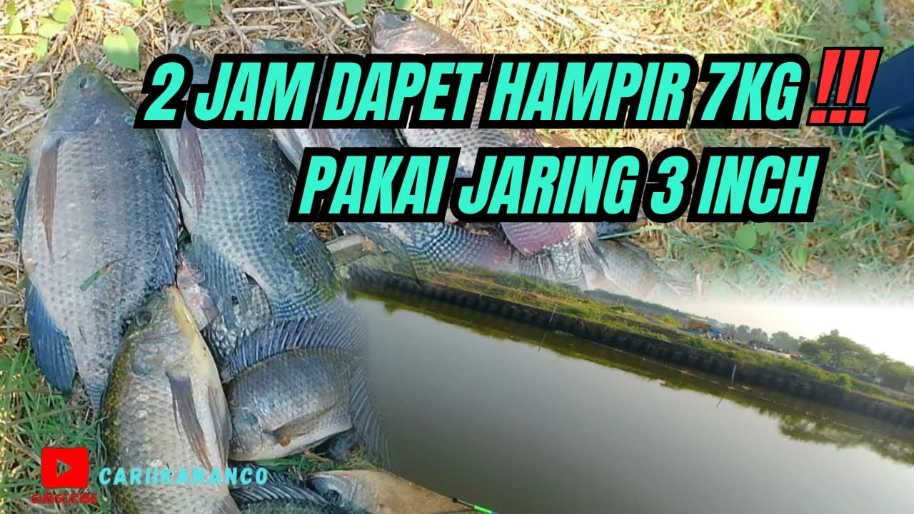 Luar Biasa!!! ..nganco durasi 2 jam..bisa dapet 6,8 kg..Pake jaring 3 inch...Joss gandoss🔥👍💪