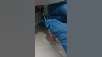 Testing my blood sugar #laboratory #mls #cls #medtechstudent #medtechlife #laboratorylife #glucose