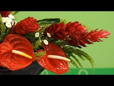 Video Hướng Dẫn Cắm Hoa Hạnh Phúc + Hồng Môn hình chữ L - youtube