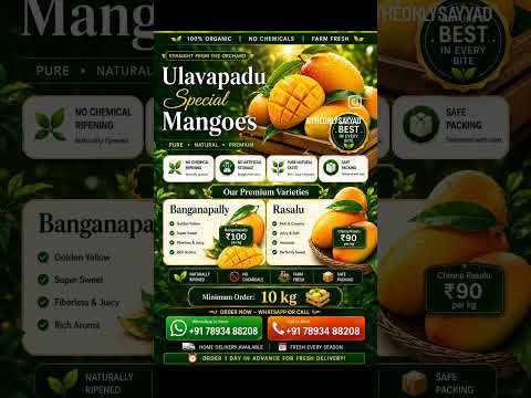 Ulavapadu Special Mango prices:• Banginapally – ₹100/kg• Chinna Rasalu (Honey Mango) – ₹90/