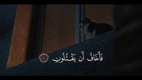 تلاوة مريحة 🤍﴿ وَيَضِيقُ صَدْرِي وَلَا يَنطَلِقُ لِسَانِي فَأَرْسِلْ إِلَىٰ هَارُونَ﴾[ سورة الشعراء]