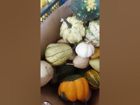 тыковки в Пятёрке - YouTube