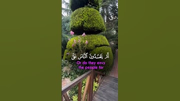 تلاوة خاشعه ألابذكر الله تطمئن القلوب #تيك_توك #المصحف #الرحمن #ترند #baby #قصص #يصلك #cute