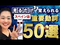 イメージに神が宿る！動詞をマスターしておしゃべりを楽しもう「スペイン語重要動詞５０選」を徹底解説