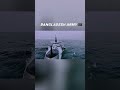🇧🇩 Bangladesh Army
