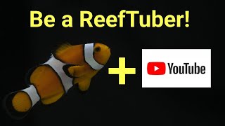 How To Setup And Run A Successful Reefing YouTube Channel screenshot 3