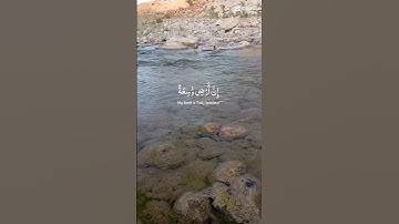 ما تيسر من قرآن كريم#الطبيعة #nature #المغرب #goose #viralvideo #birds #edit #البادية #duck #تيك_توك