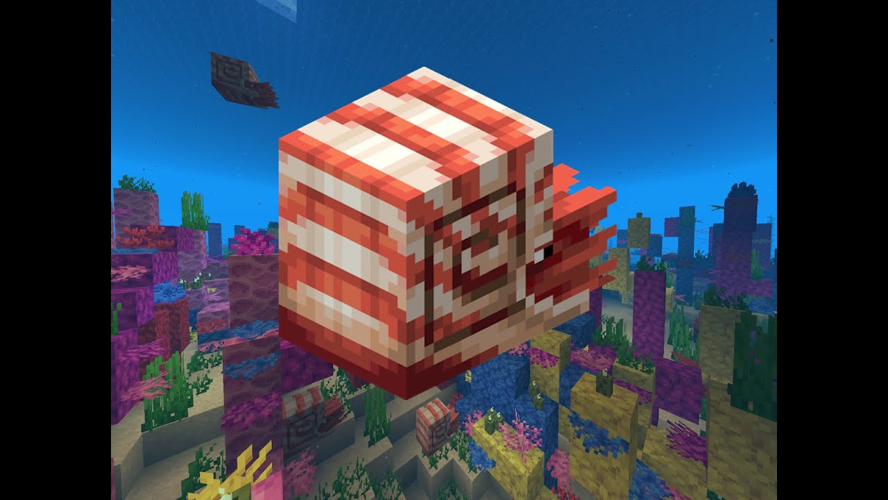 Minecraft 1.21.11 - All Nautilus Sounds