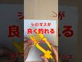 ゴカイの付け方で釣果が上がる【シロギスの投げ釣り】
