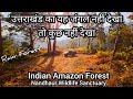           indian amazon forest   nandhaur wildlife sanctuary