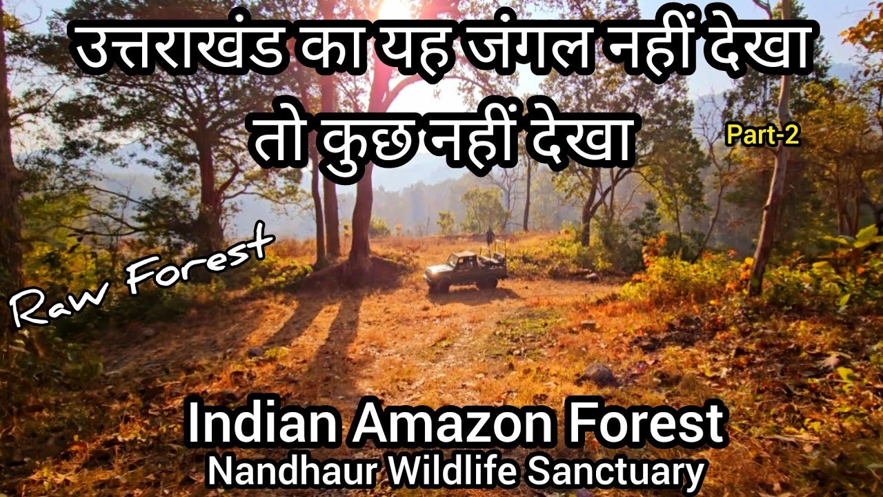 उत्तराखंड का यह जंगल नहीं देखा तो कुछ नहीं देखा |Indian Amazon Forest |  Nandhaur Wildlife Sanctuary