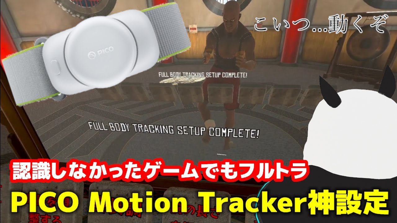 Pico 4 Ultra 】 神設定！SteamVRゲームで動かなかった、PICO Motion 