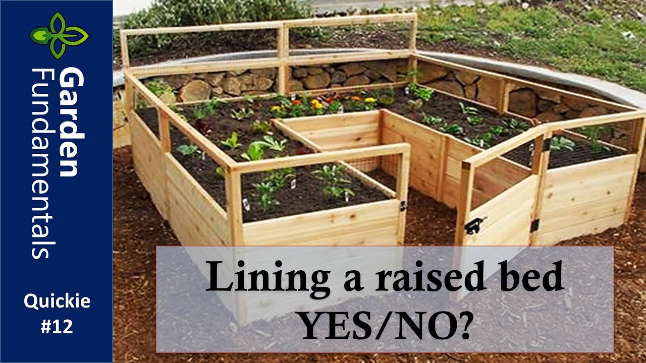 Should You Line a Raised Bed ??? Pros & Cons and Best Material ⏳⌚️⌛️
