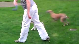 BasAnna20110402-2.mp4