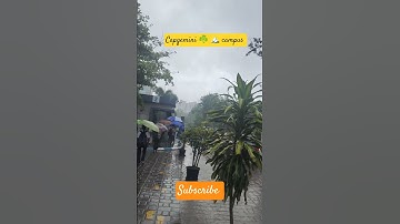 Capgemini ☘️🏔️☔#capgeminioffcampus #capgeminihiring #capgeminiinterview #capgemini2025 #jobseekers