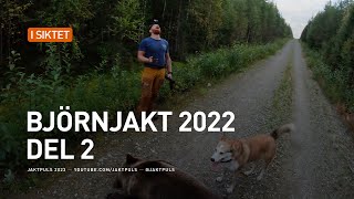 Björnjakt 2022 del 2