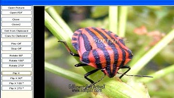 GdViewer Pro ActiveX Free Download