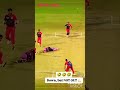 cricket funny moment down but not out🤣🤣