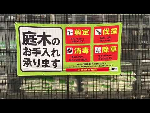 マーケットピア dcmくろがねや海老名下今泉店 マーケットピア dcmくろがねや海老名下今泉店