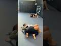 This is girlhood 🫶🏻 #mma #ufc324 #bjj #nogi #jiujitsu